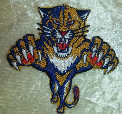 Florida panthers iron - florida, on