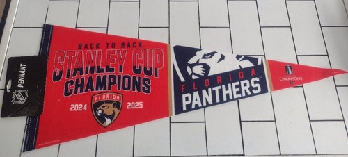 Florida panthers 2025 - 2025, stanley